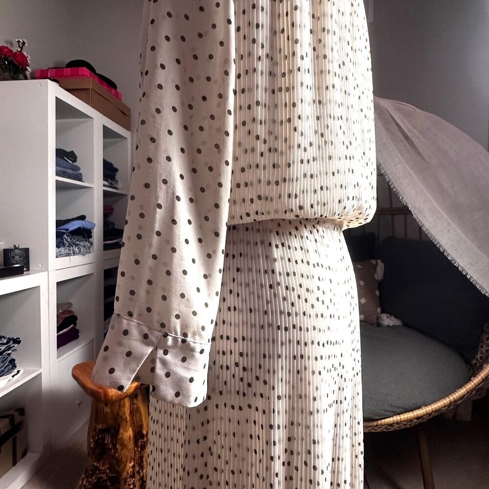 Club Monaco Womens Dress Pleated Polka Dot 3/4 Sleeves Ivory Sheer Dress Size S - Picture 5 of 15